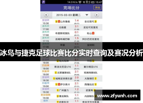 冰岛与捷克足球比赛比分实时查询及赛况分析